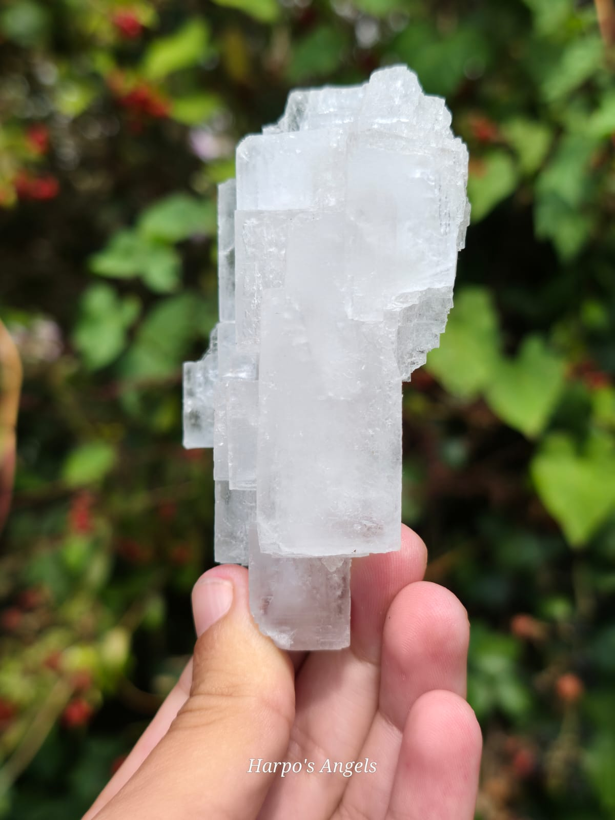 Clear Halite Cluster
