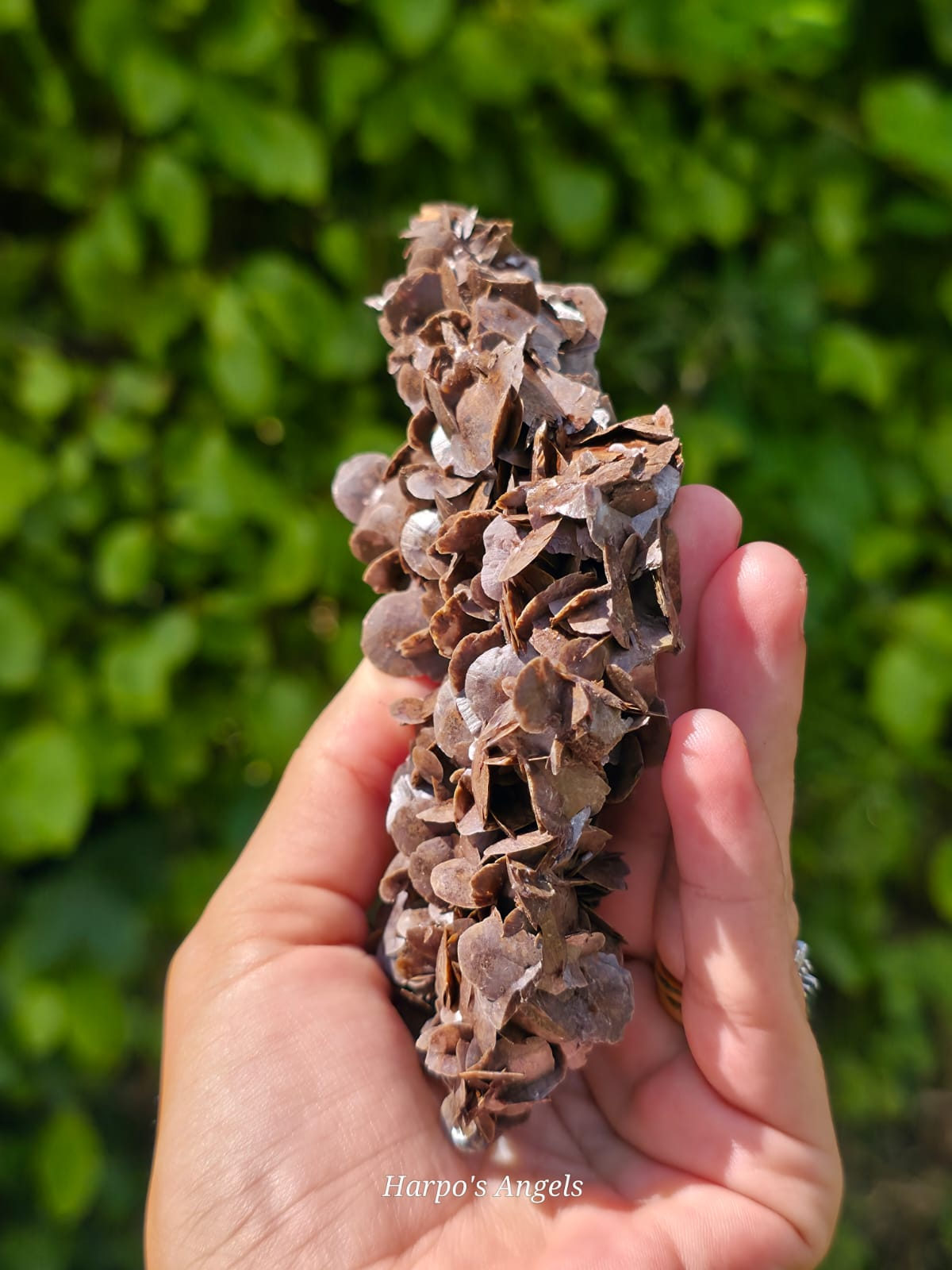 Chocolate Petal Calcite - Guangdong