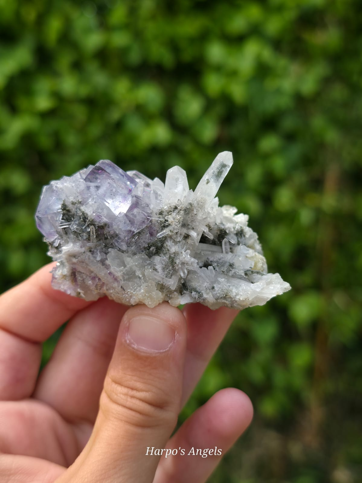 YGX Fluorite with Needle Quartz, Epidote & Mica
