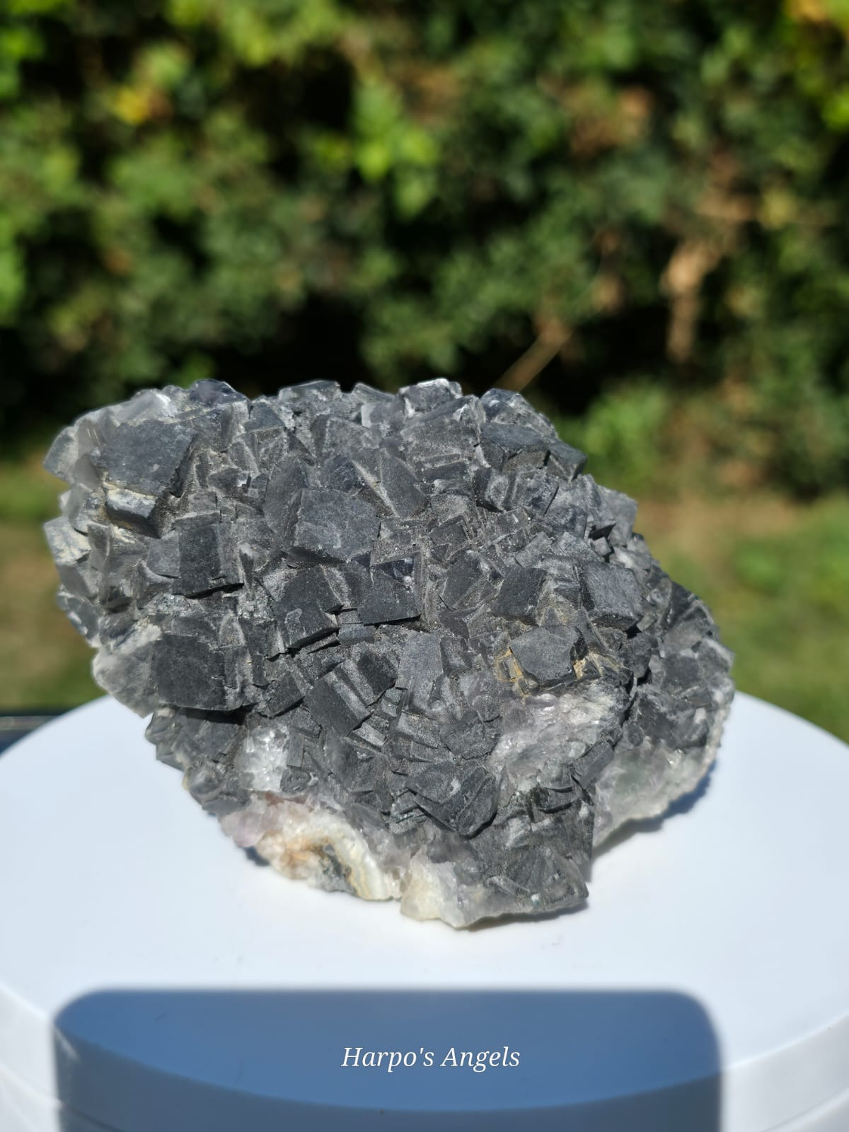 Green Fluorite Cluster (ex collection)
