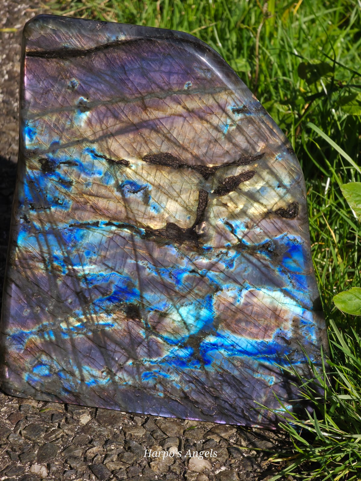 Madagascar Labradorite Statement Freeform