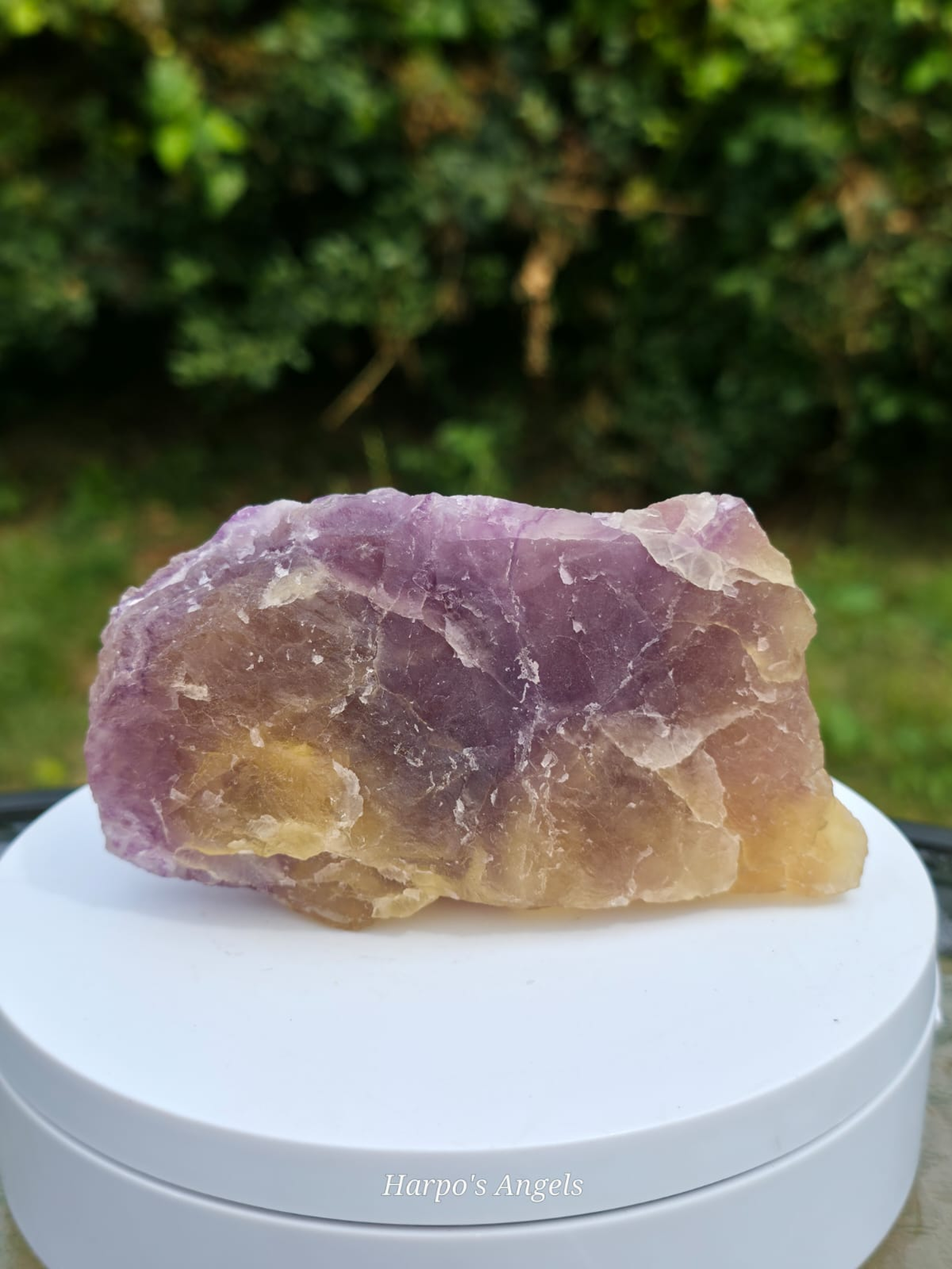Purple & Yellow Bi-Colour Fluorite