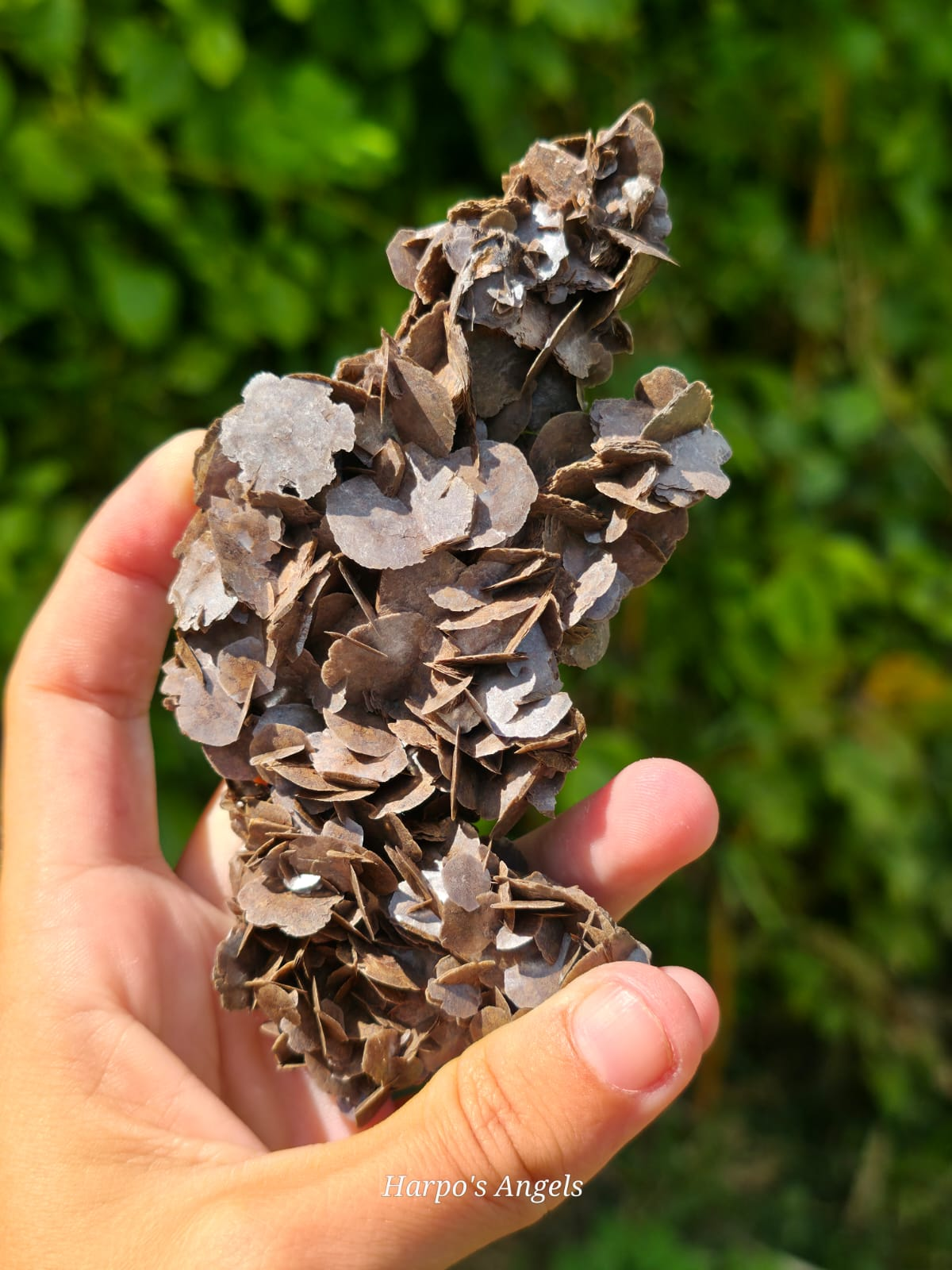Chocolate Petal Calcite - Guangdong