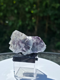 Blue & Purple Fluorite with Garden Inclusions Inner Mongolia
