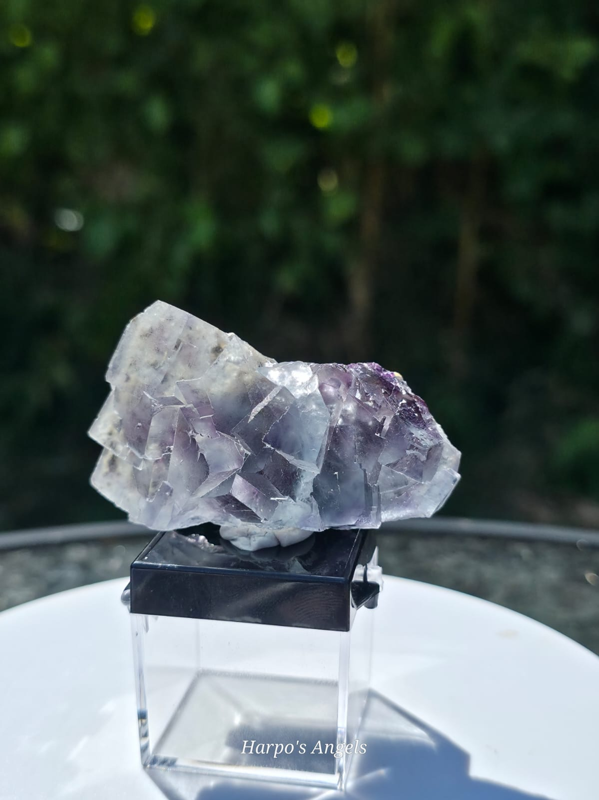 Blue & Purple Fluorite with Garden Inclusions Inner Mongolia