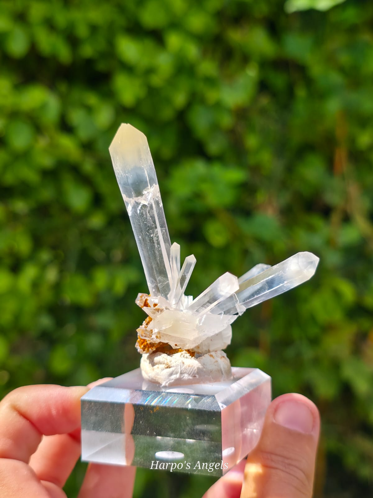 Mango Quartz Cluster - Colombia