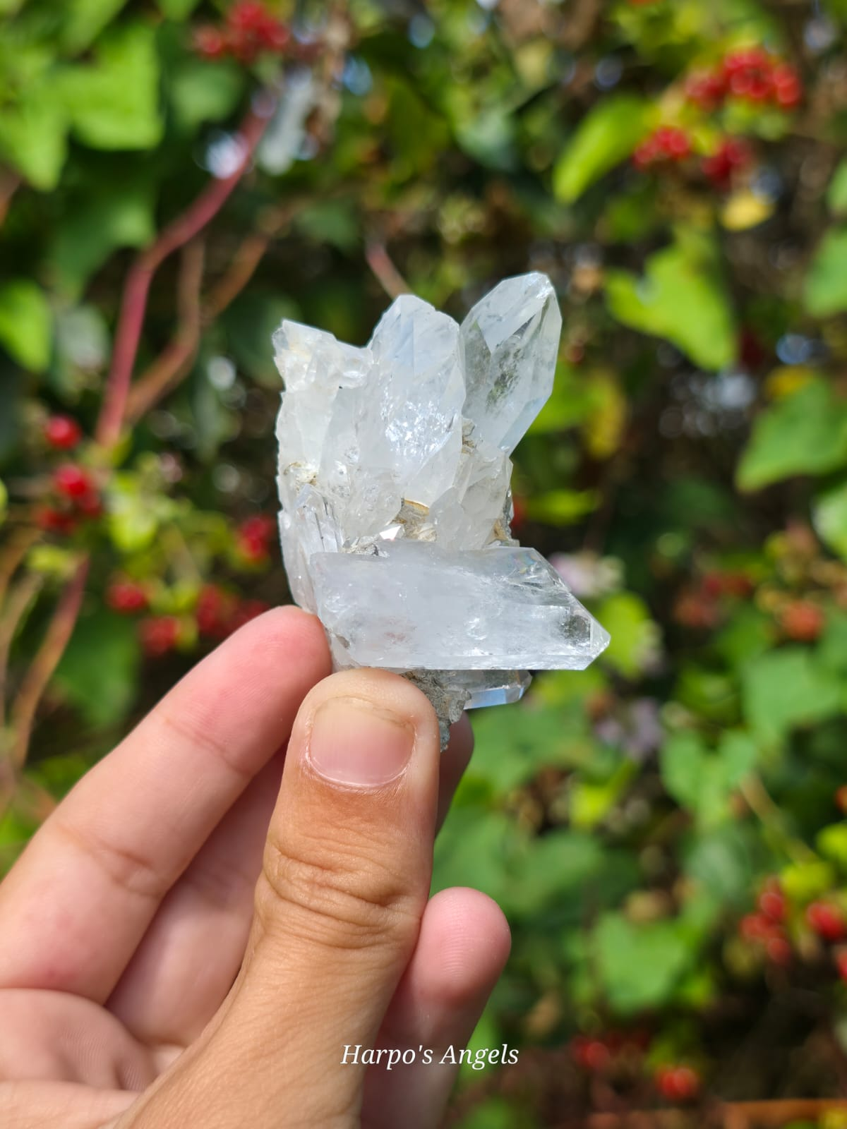 Faden Quartz Clusters - Balochistan