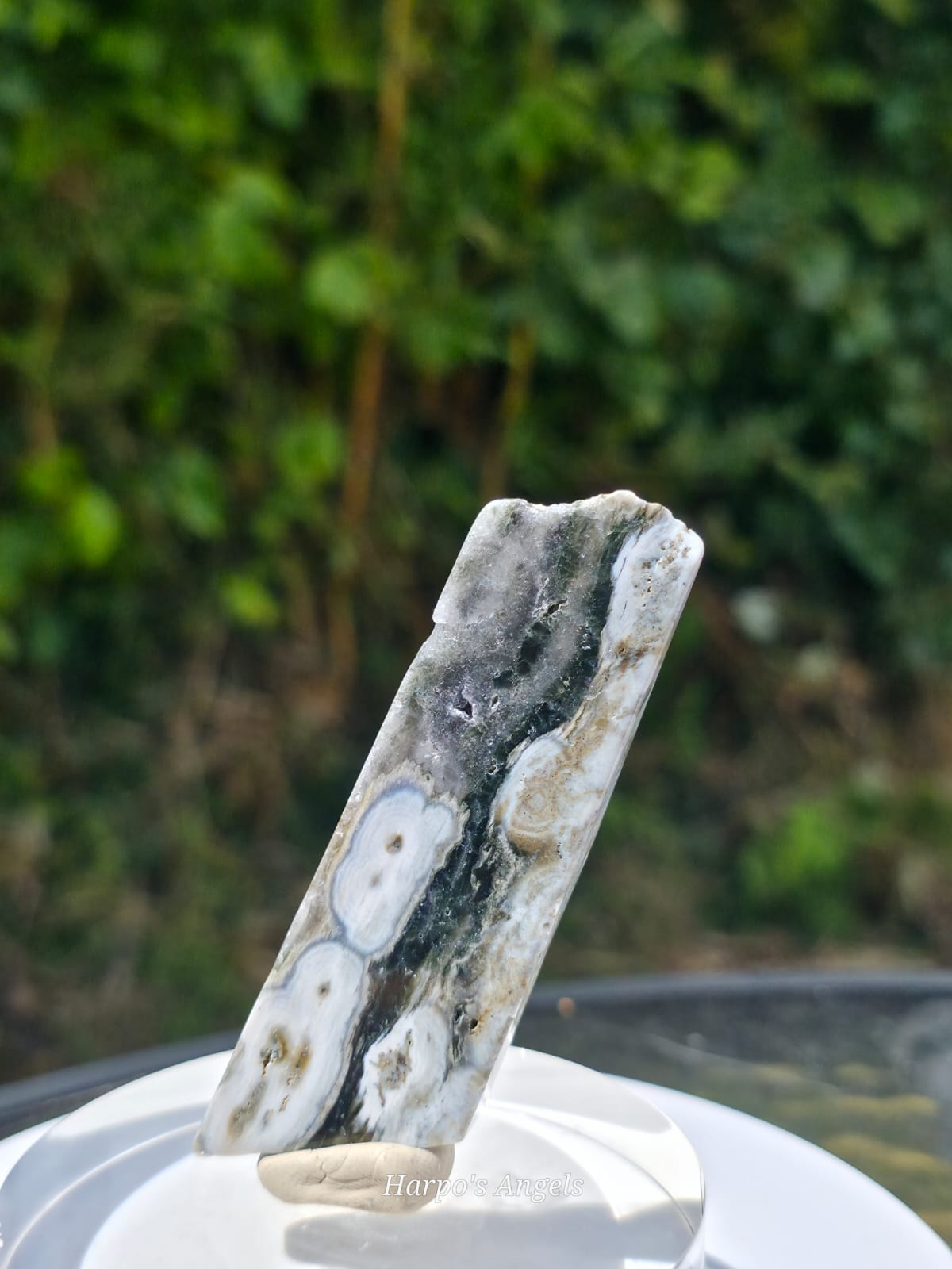 Orbicular Jasper Freeforms