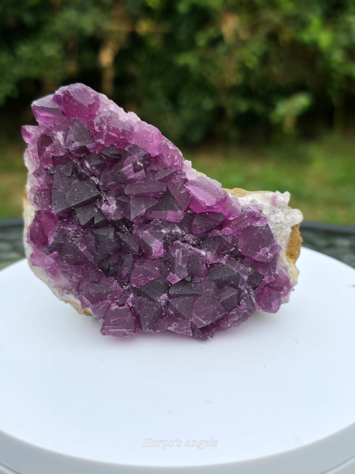 Purple Fluorite on Quartz Matrix
