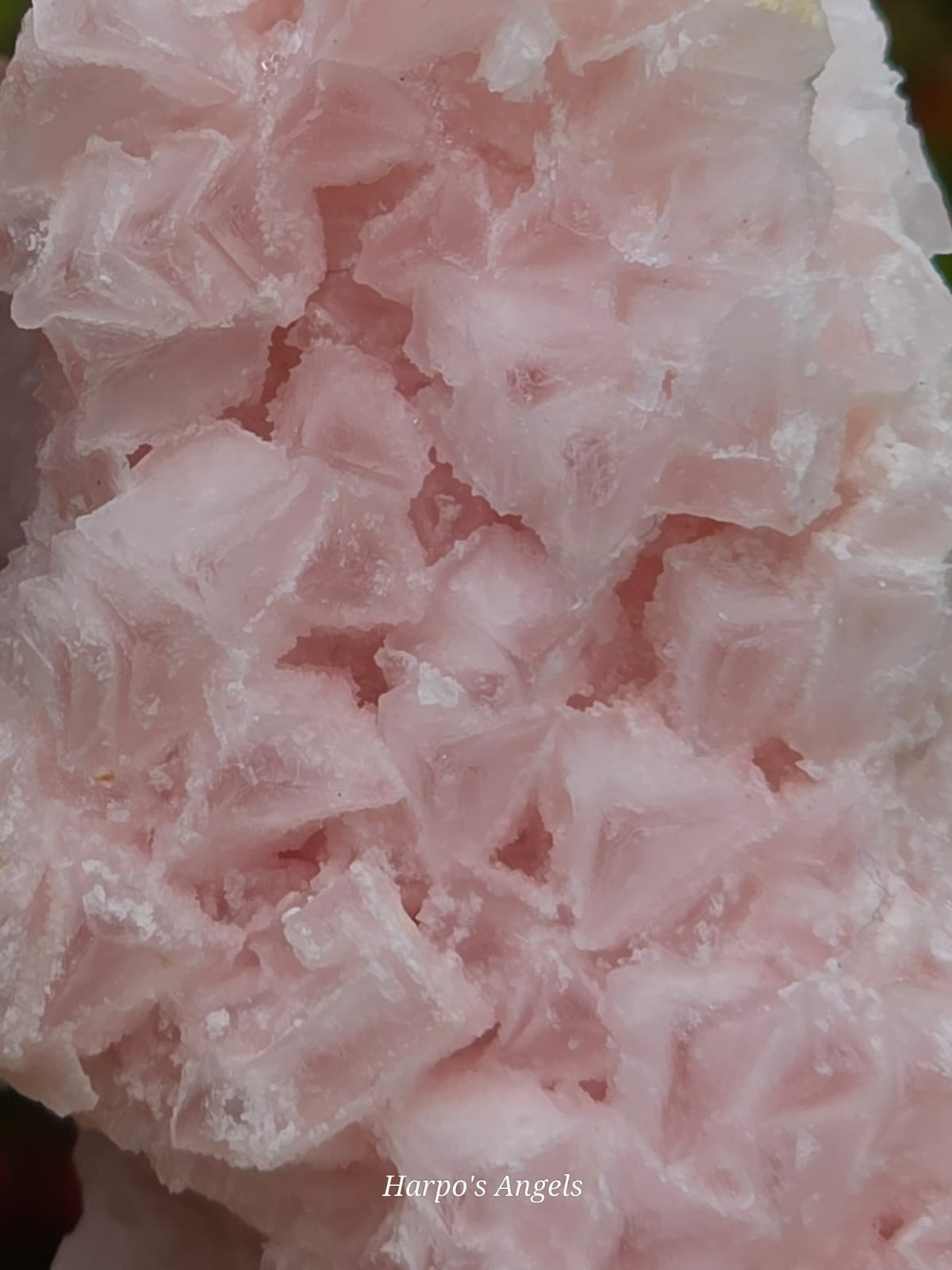 Large Pink Halite Crystal Cluster