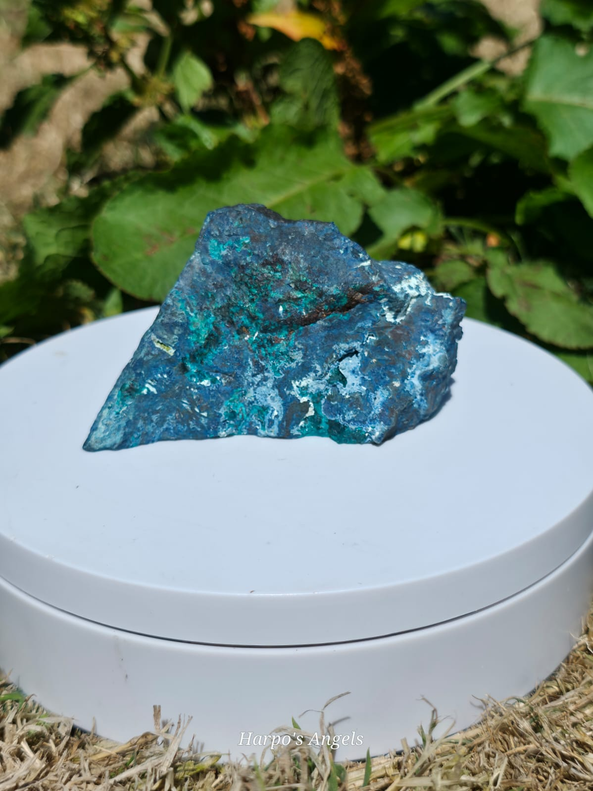 Dioptase Mineral Specimen