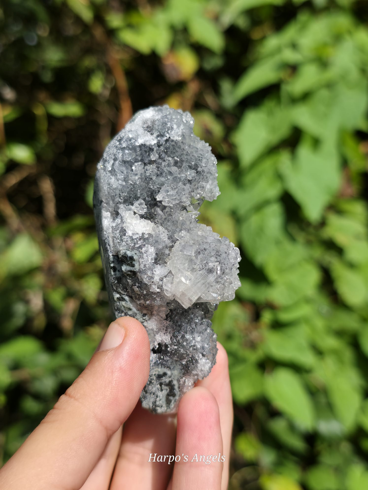 Clear Heulandite Crystal Specimen - India | No. 1