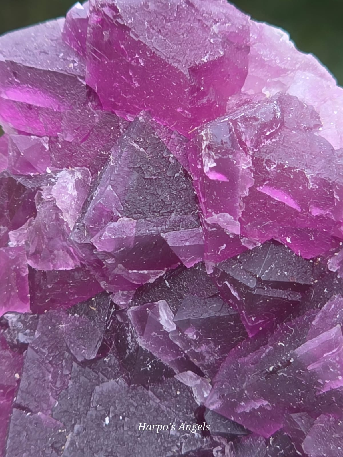 Purple Fluorite on Quartz Matrix