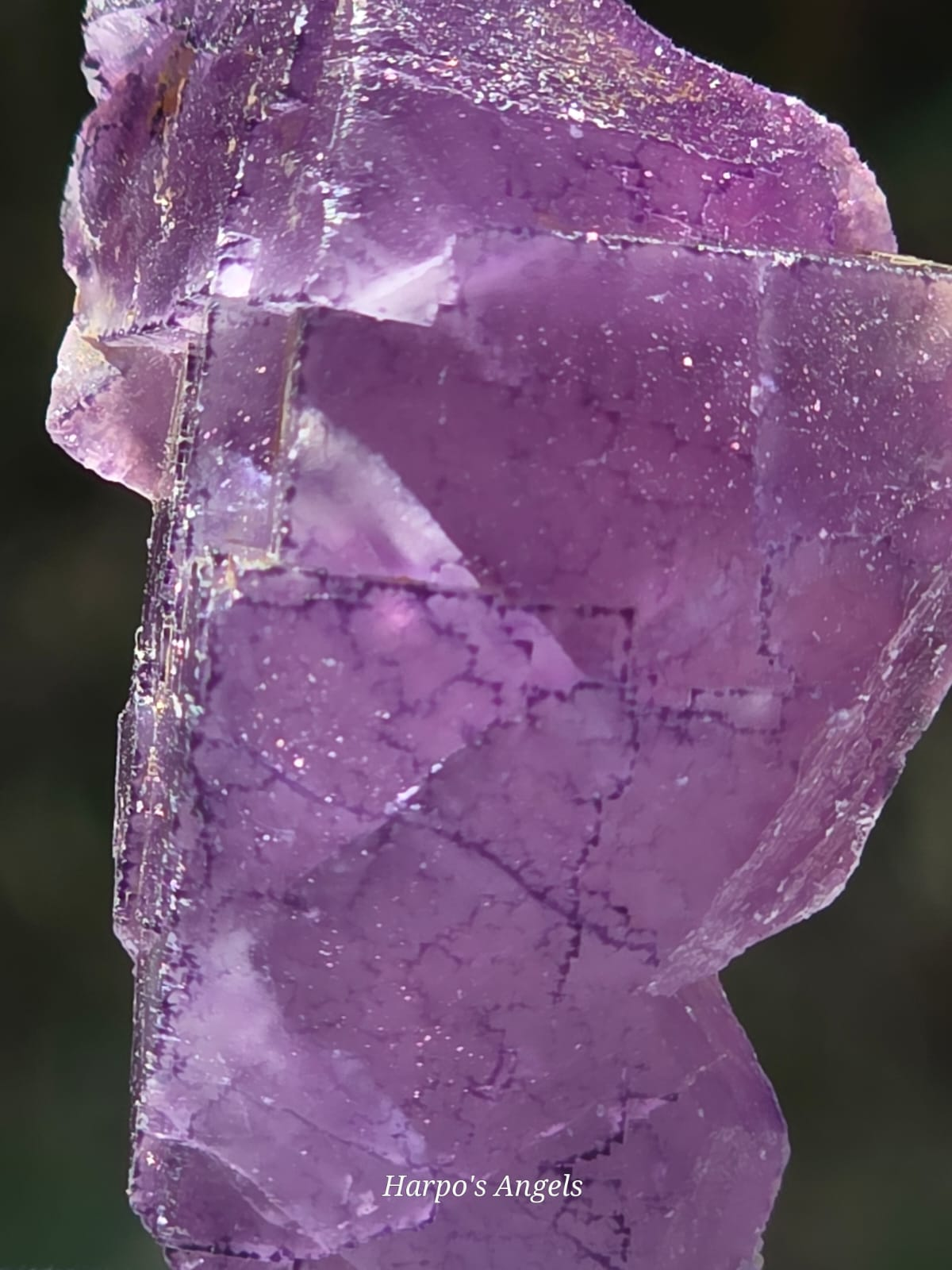 QR Code Fluorite