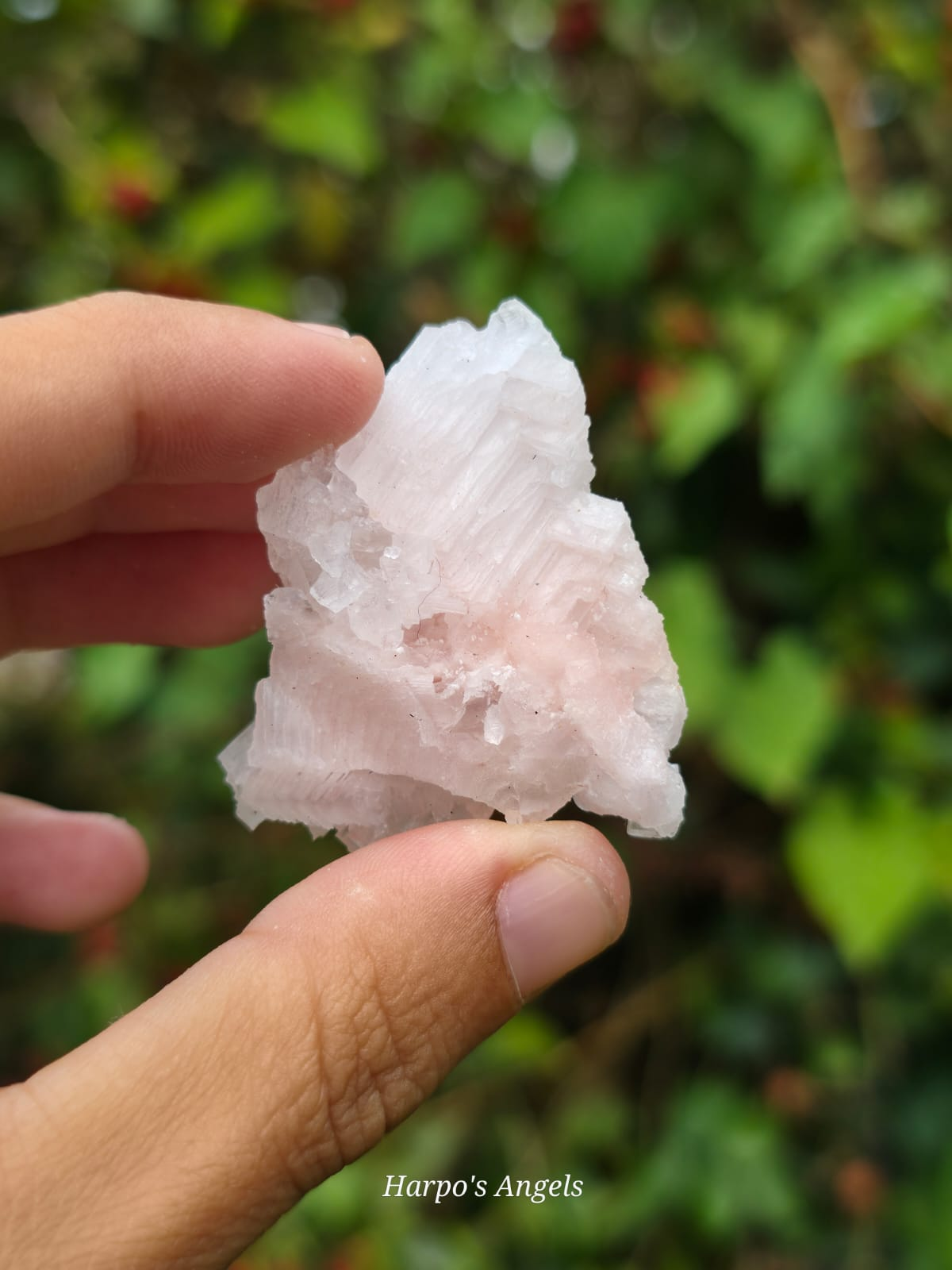 Pink Halite Crystal Cluster #3