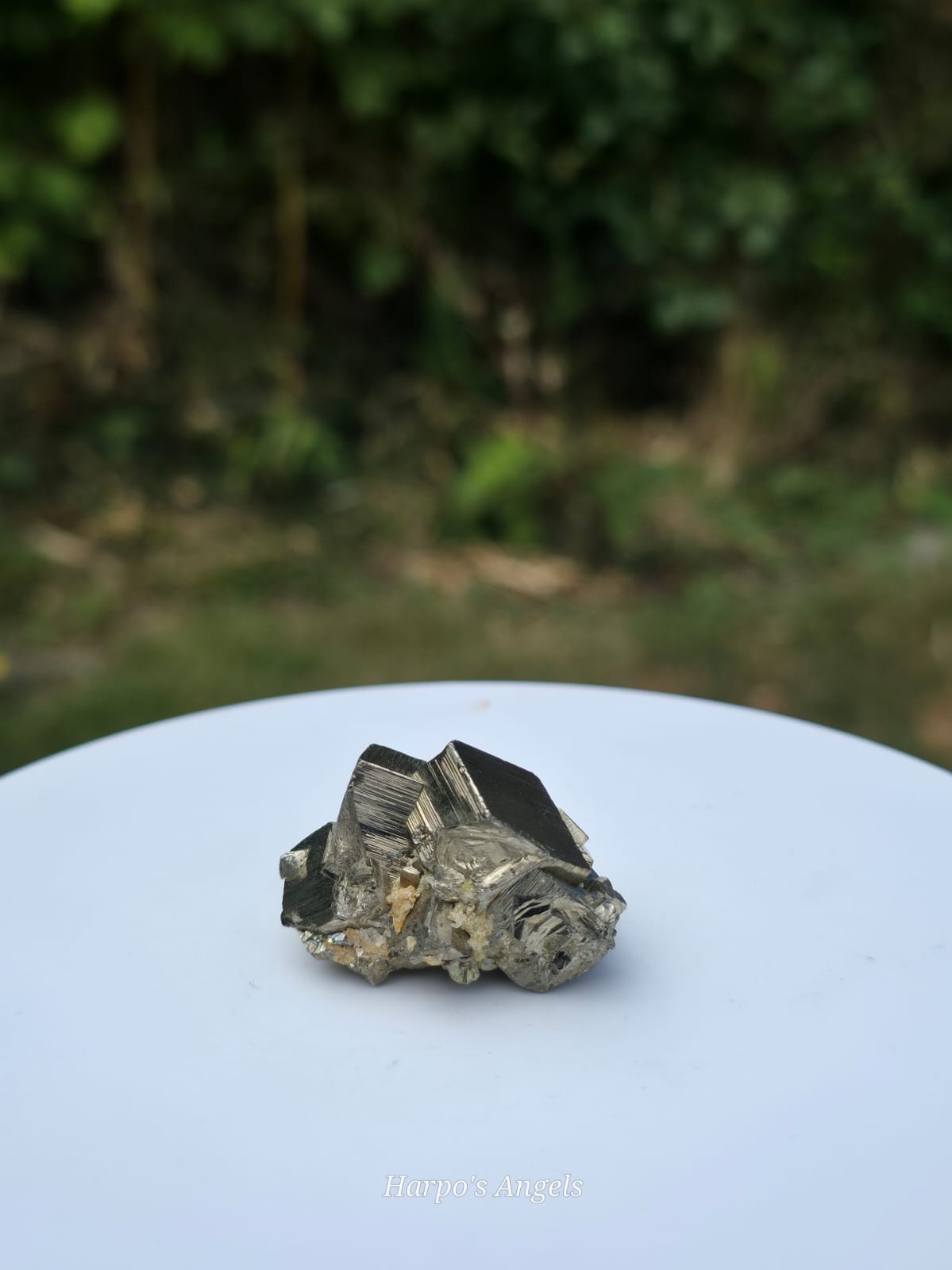 Peruvian Pyrite Cluster