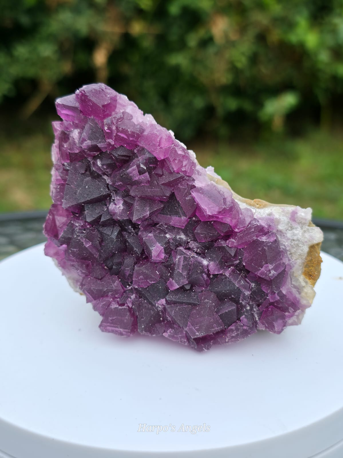 Purple Fluorite on Quartz Matrix
