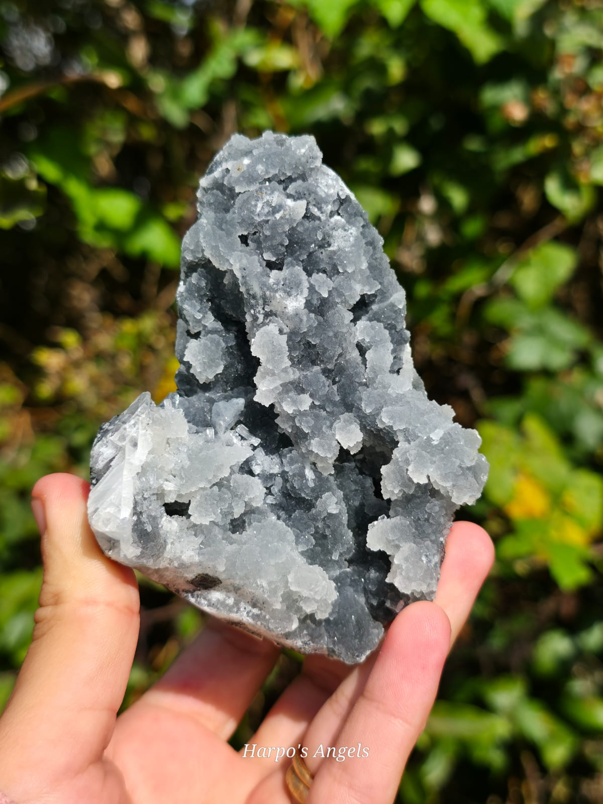 Clear Heulandite Crystal Specimen - India | No. 5