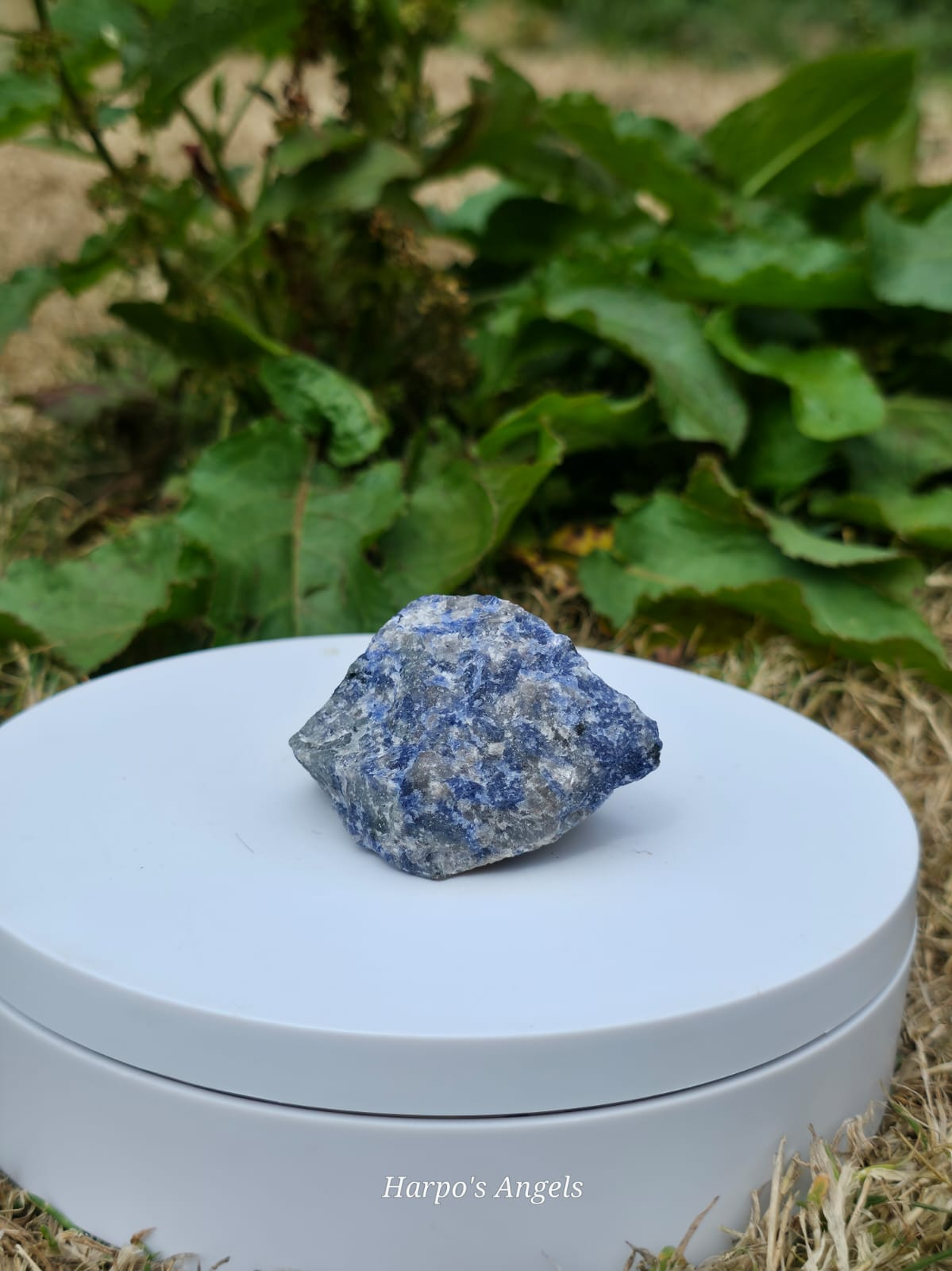 Raw Sodalite - Ex Collection Clusters