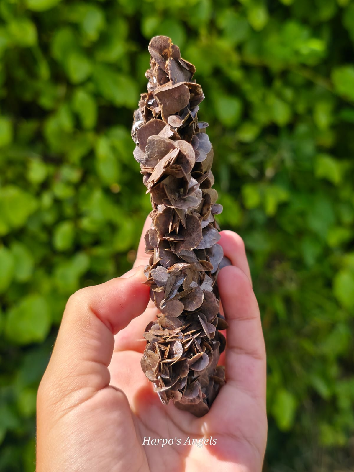 Chocolate Petal Calcite - Guangdong