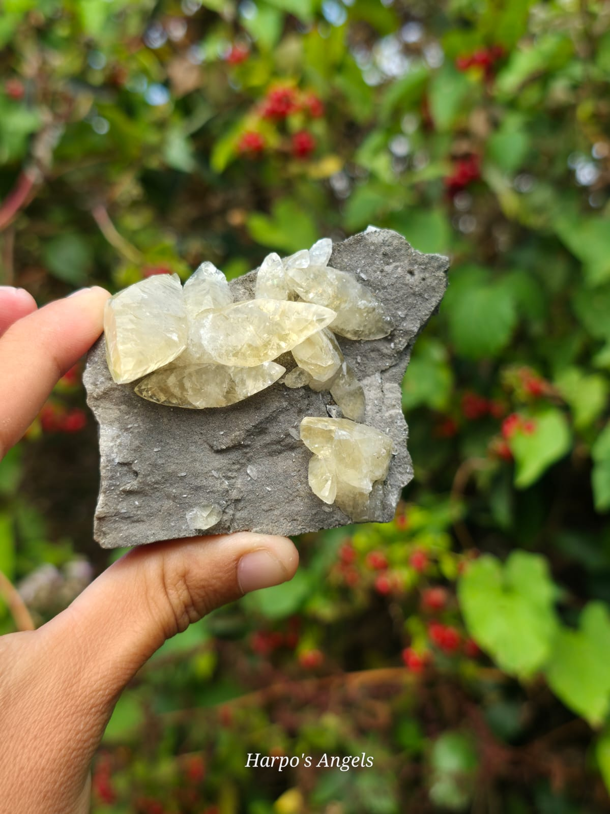 Dragon Scale Calcite Cluster #2