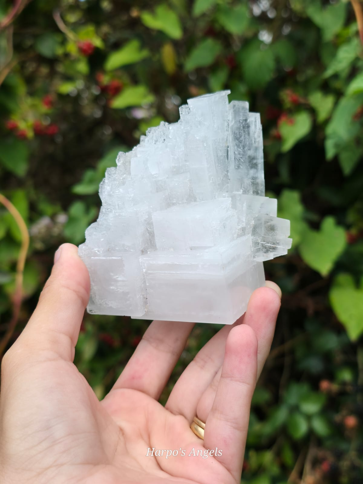 Clear Halite Cluster