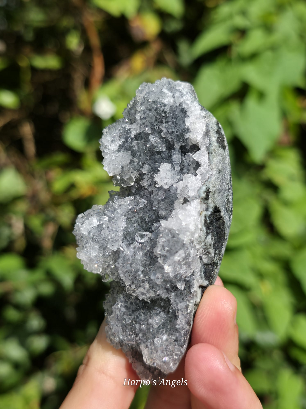 Clear Heulandite Crystal Specimen - India | No. 1