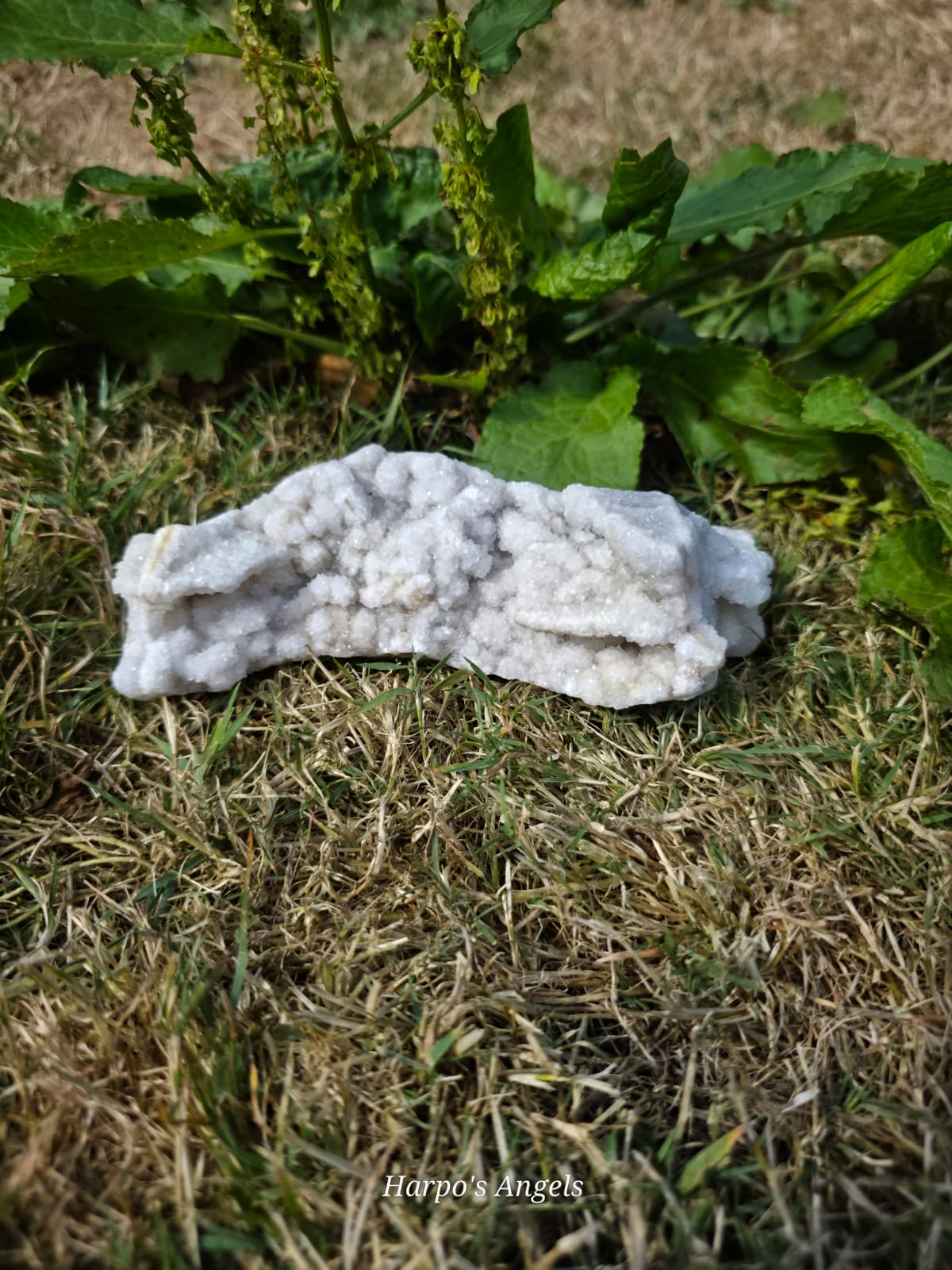 White Druzy Quartz Specimen - Ex Collection