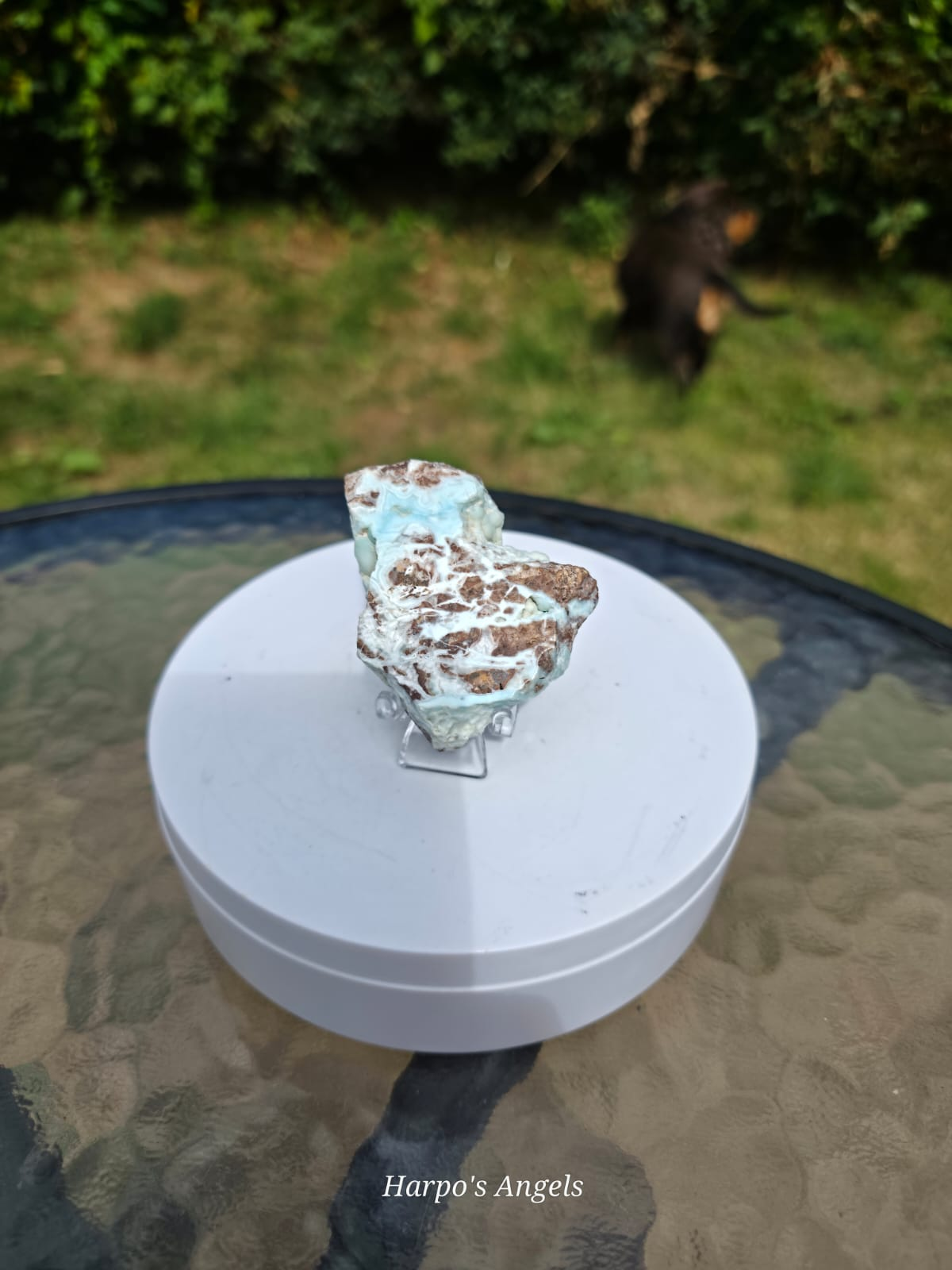 Caribbean Calcite Slice