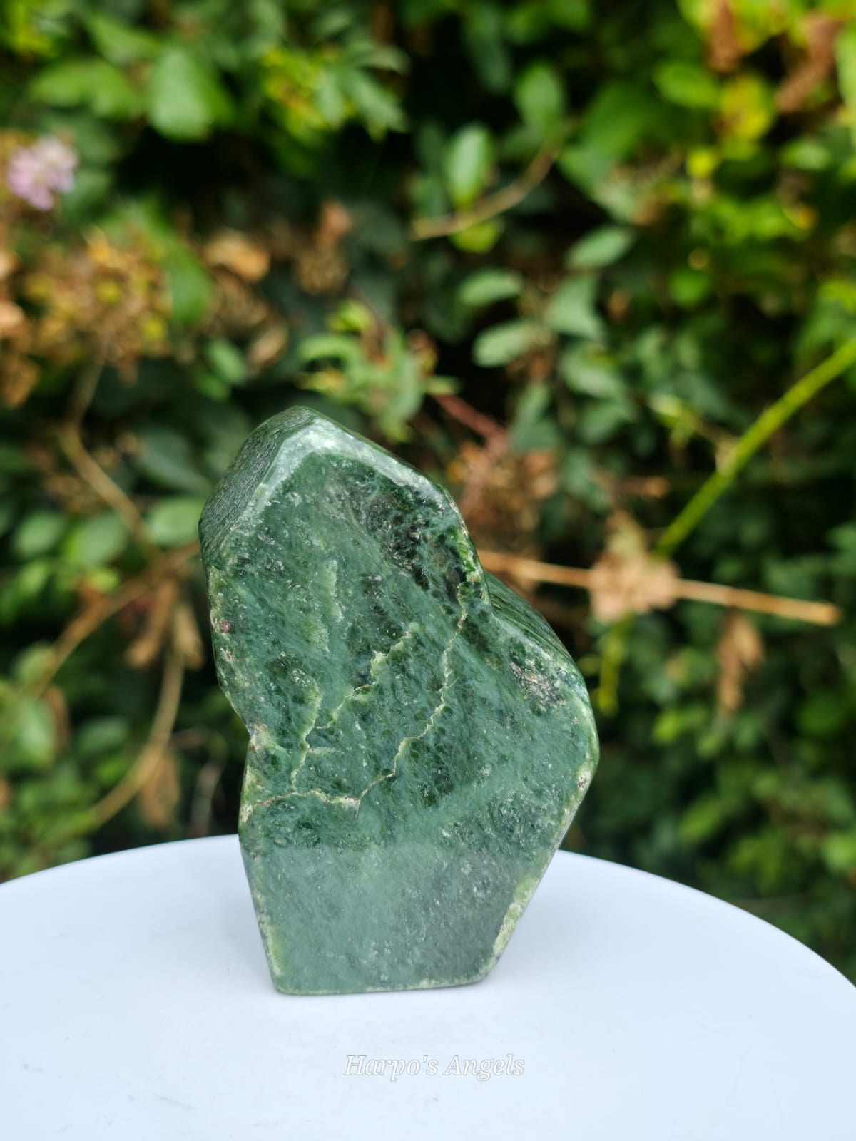 Nephrite Jade Freeform