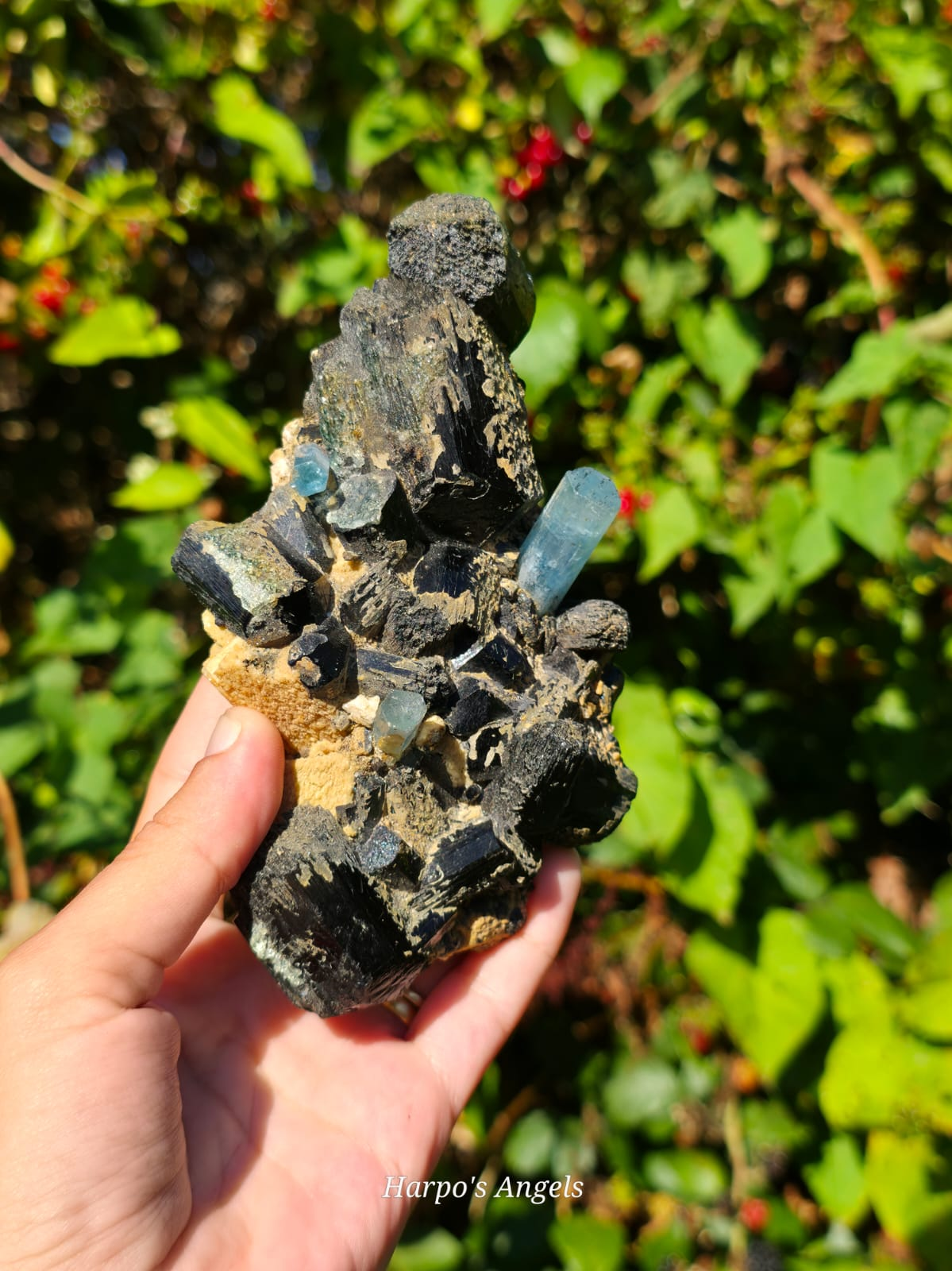 Black Tourmaline with Aquamarine & Hyalite Opal (Namibia)