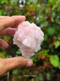 Pink Halite Crystal Cluster #6
