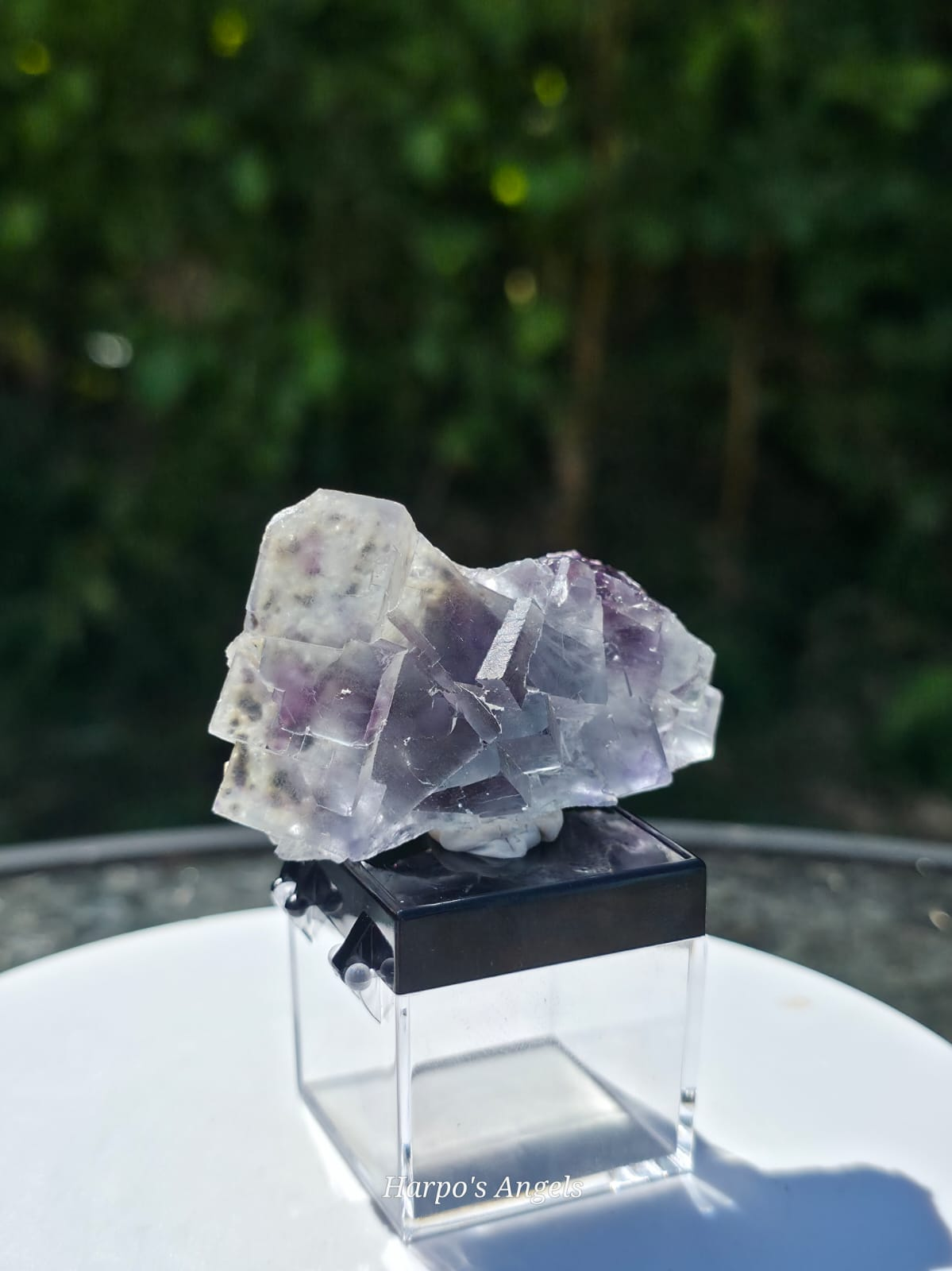 Blue & Purple Fluorite with Garden Inclusions Inner Mongolia