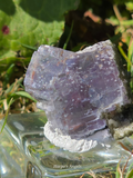 YGX Fluorite - Blue & Purple Phantom