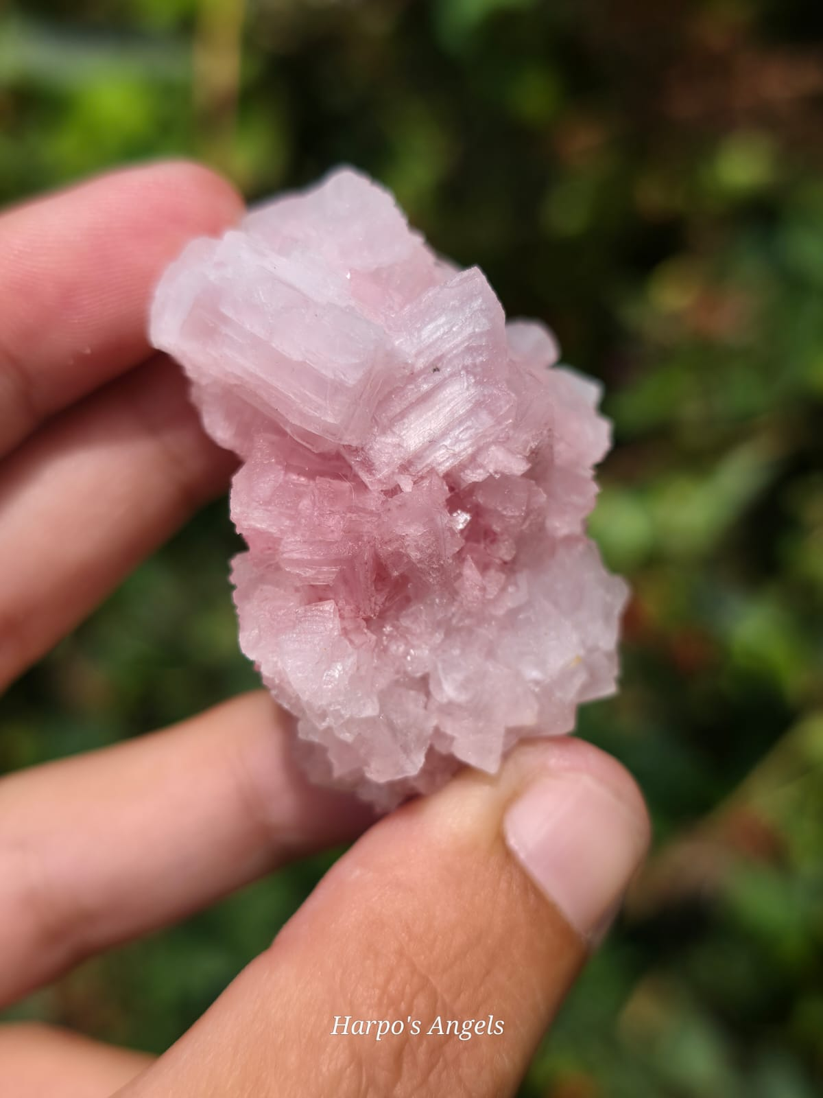 Pink Halite Crystal Cluster #1