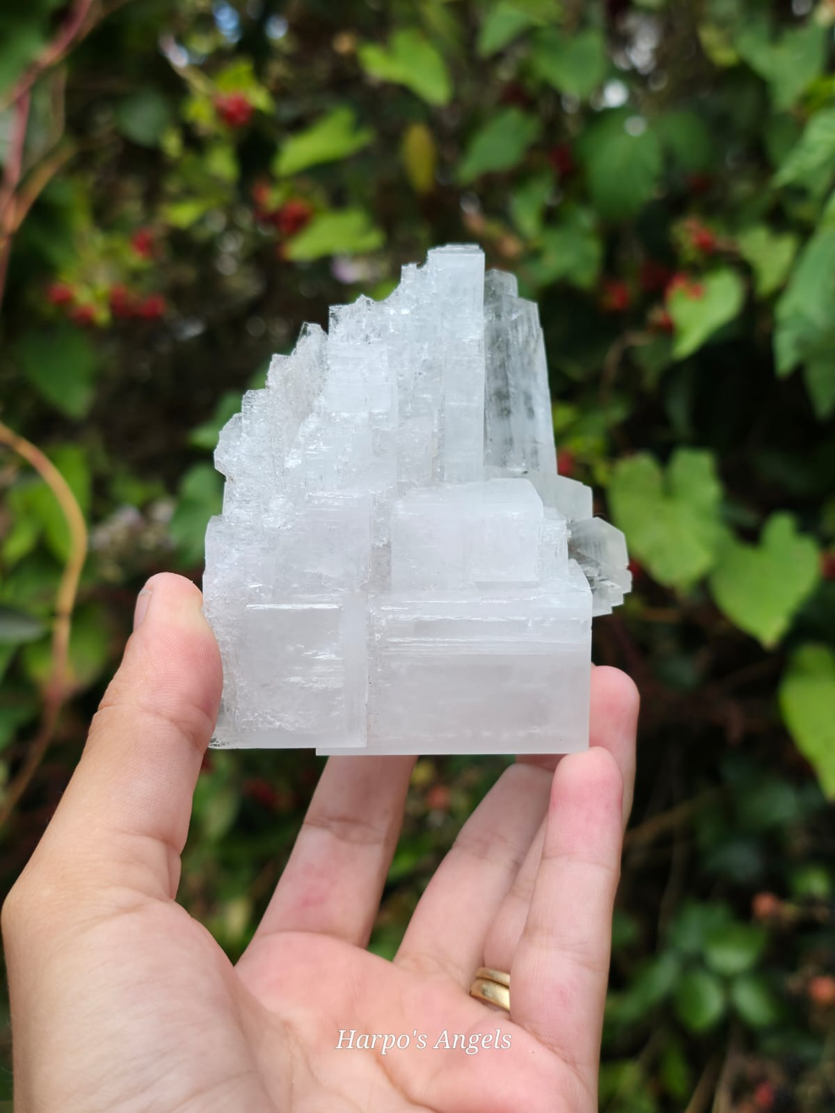 Clear Halite Cluster