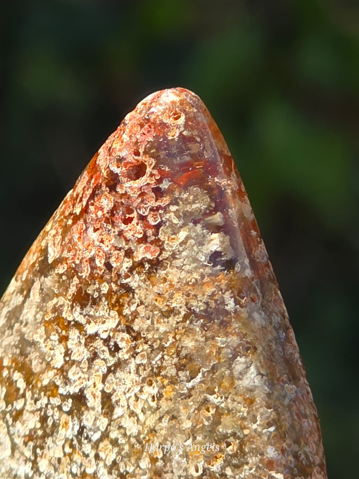 Moss Agate Freeform