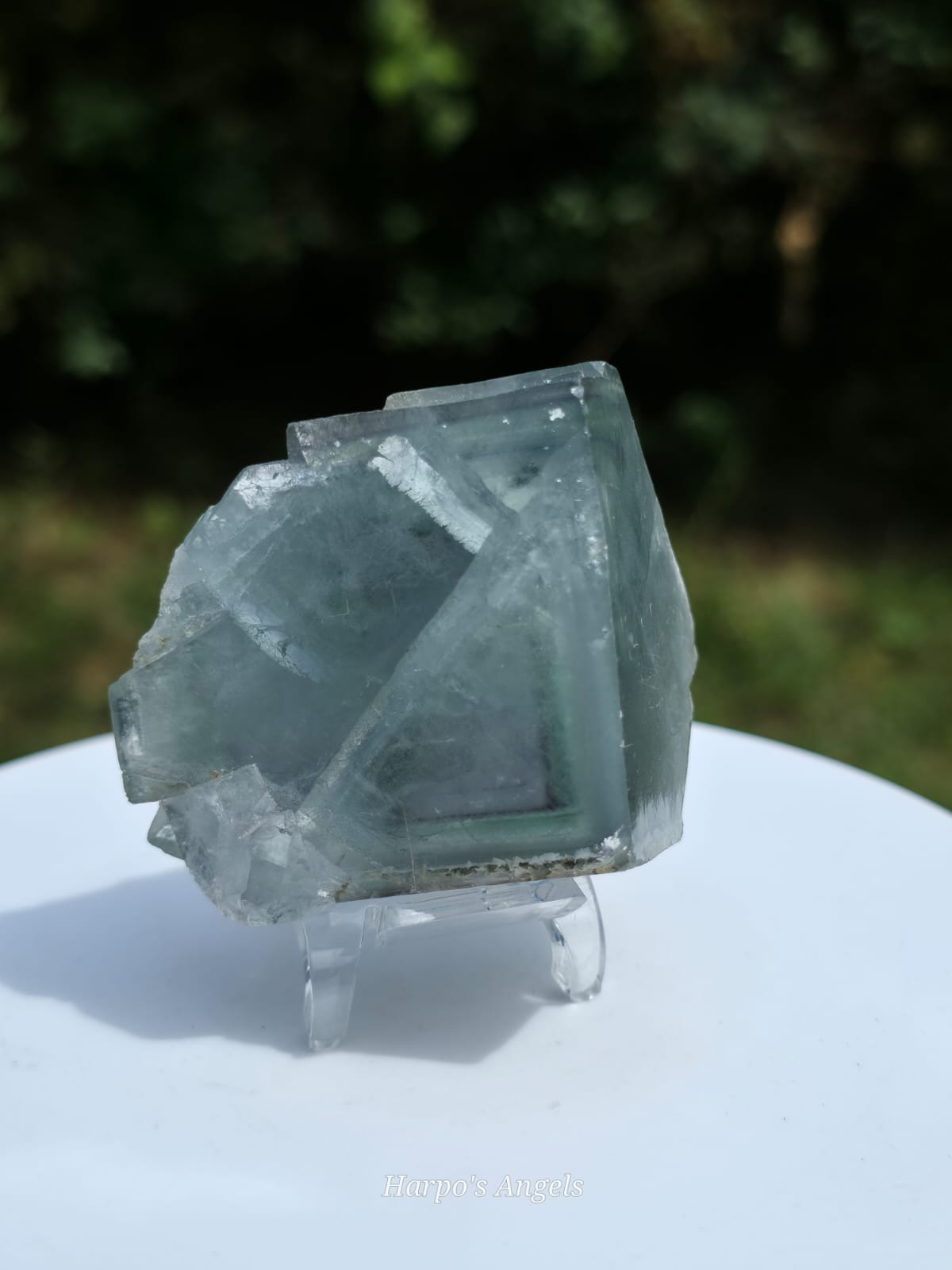 XHL Fluorite