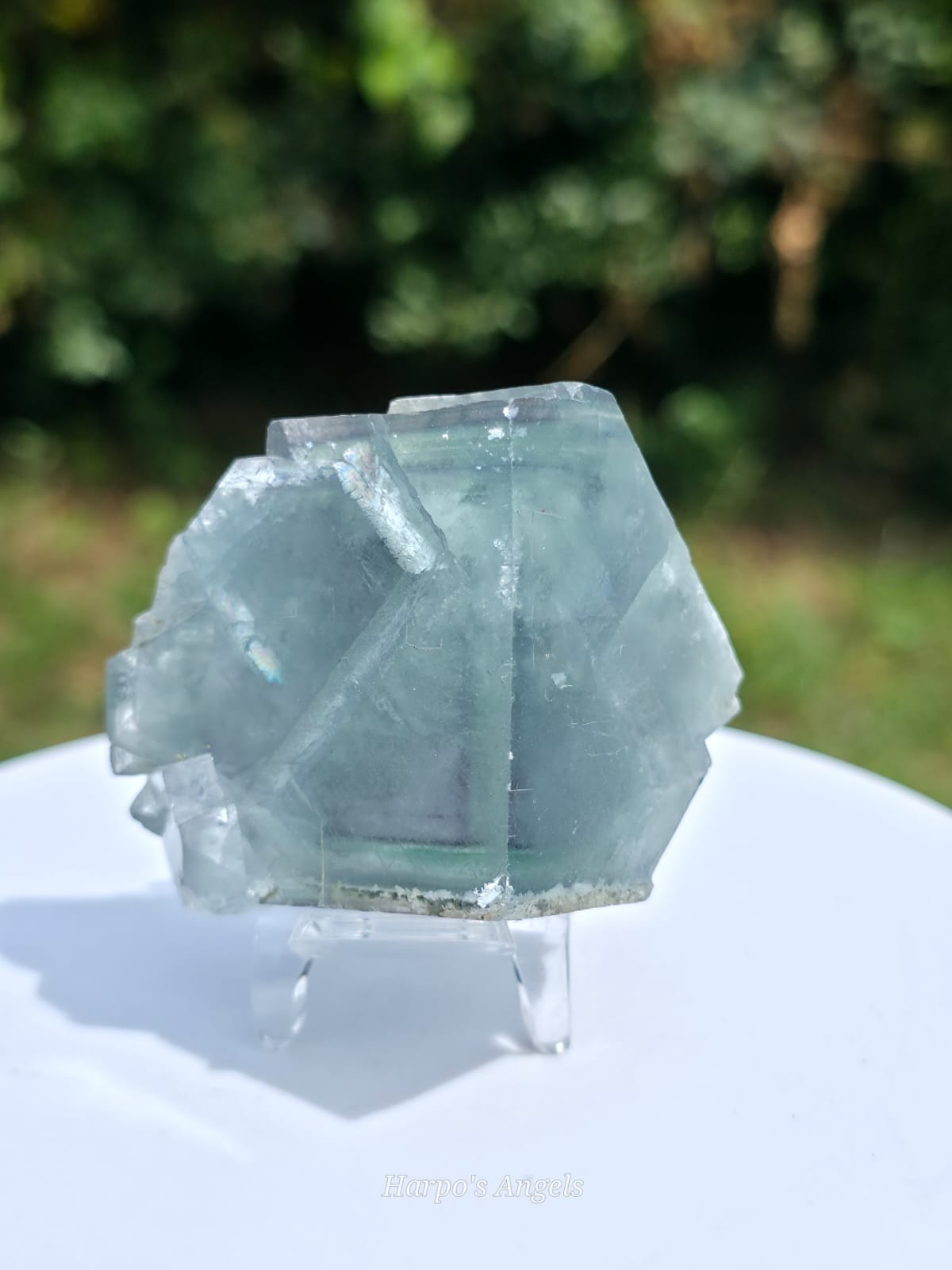 XHL Fluorite