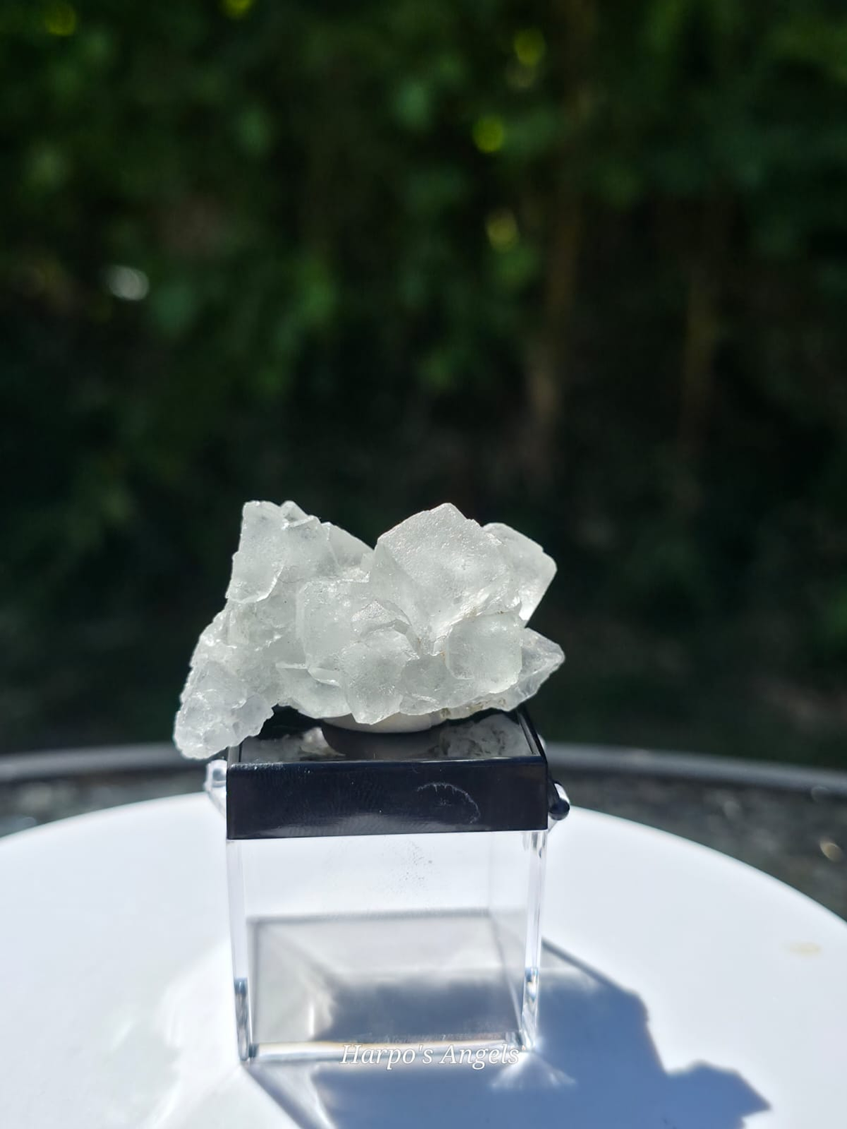 White Cubic XHL Fluorite