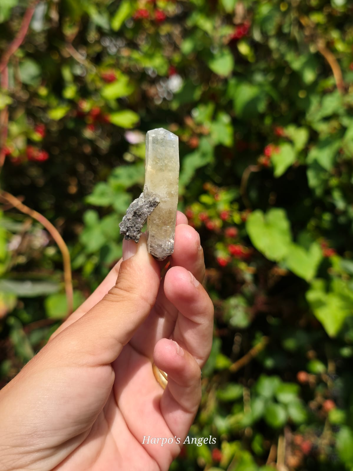 Dragon Scale Calcite Cluster #3
