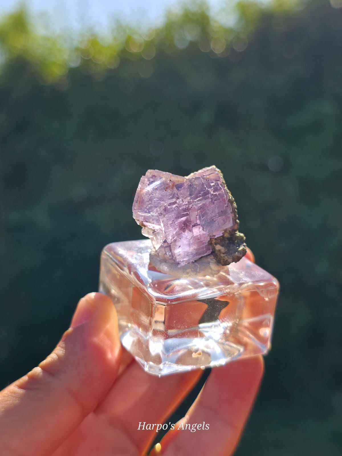 YGX Fluorite - Blue & Purple Phantom