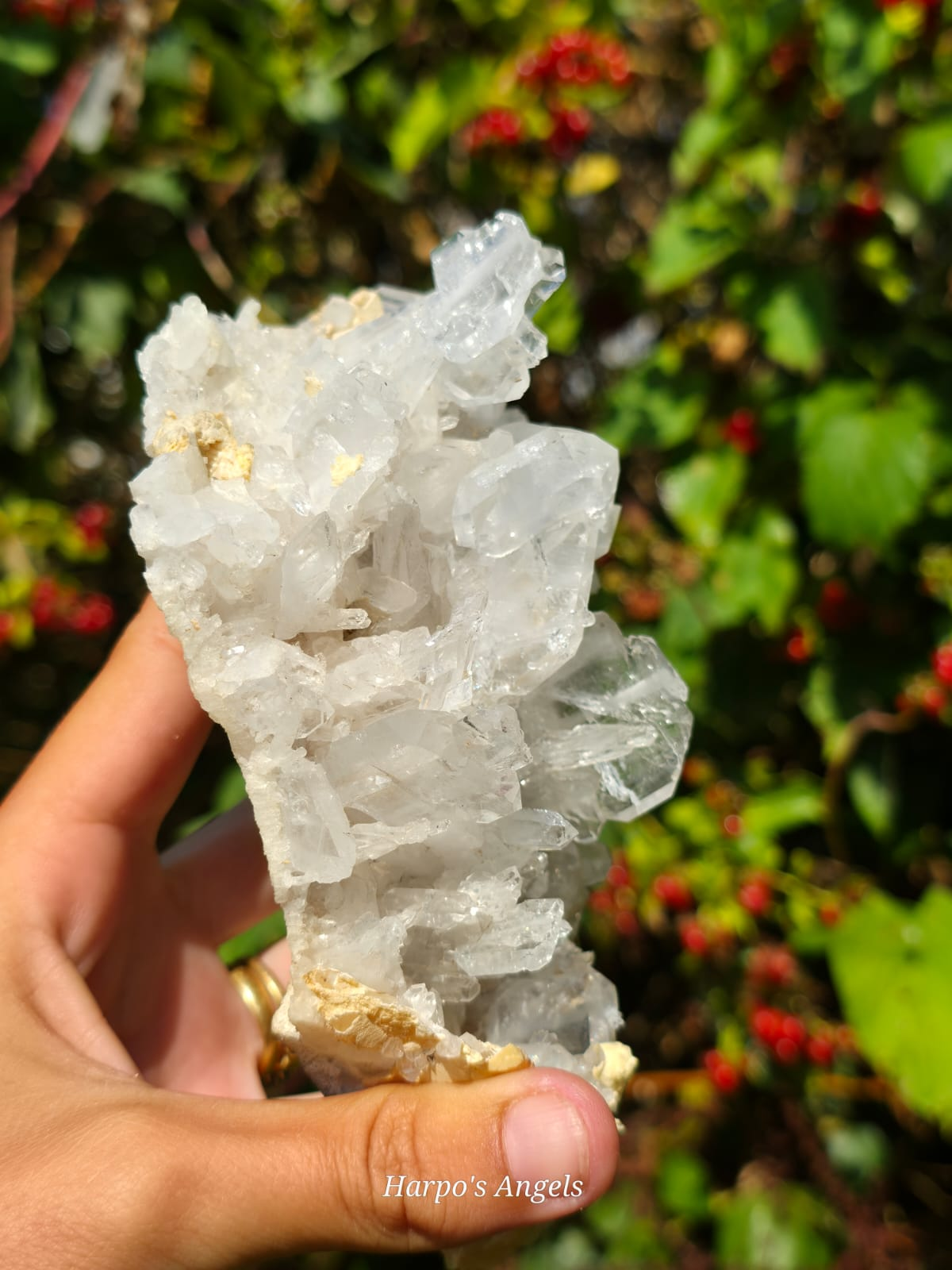 Large Faden Quartz Cluster