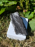 Dark Indonesian Fossilised Wood