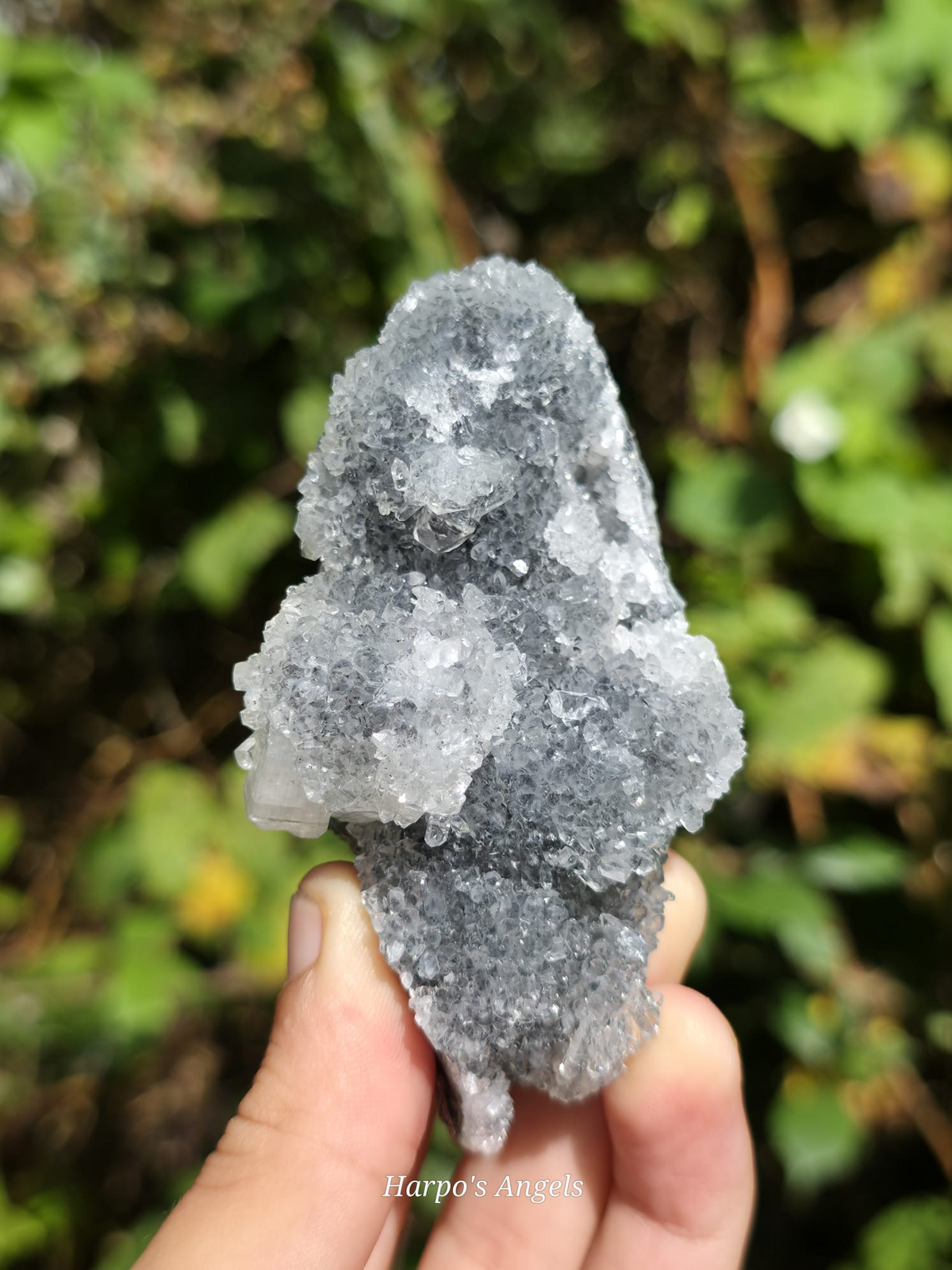Clear Heulandite Crystal Specimen - India | No. 1