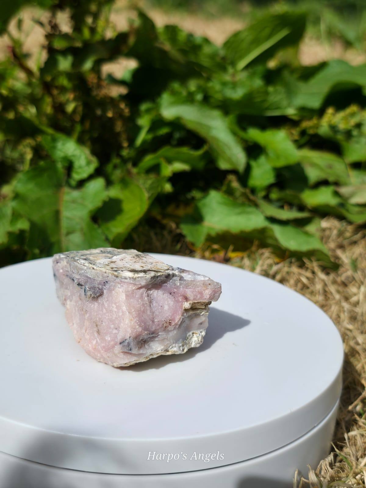 Natural Raw Pink Opal Clusters - Ex Collection