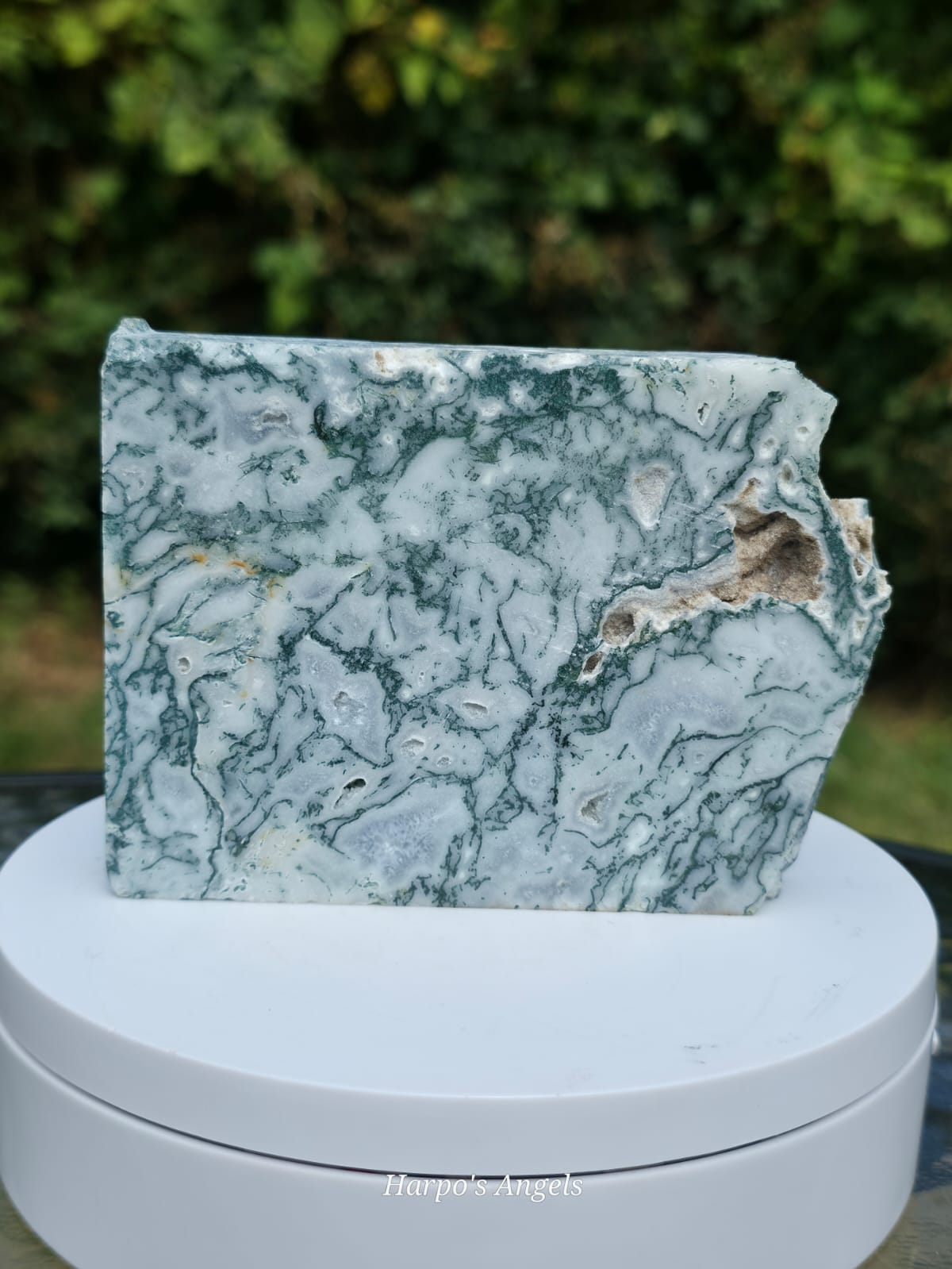 Moss Agate Slice