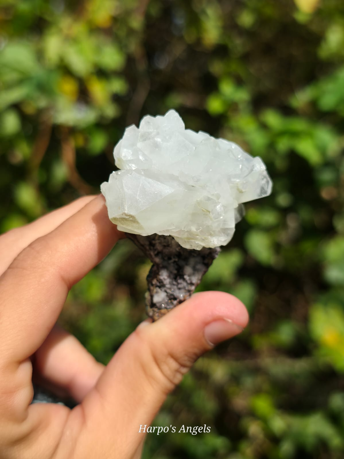 Clear Heulandite Crystal Specimen - India | No. 3