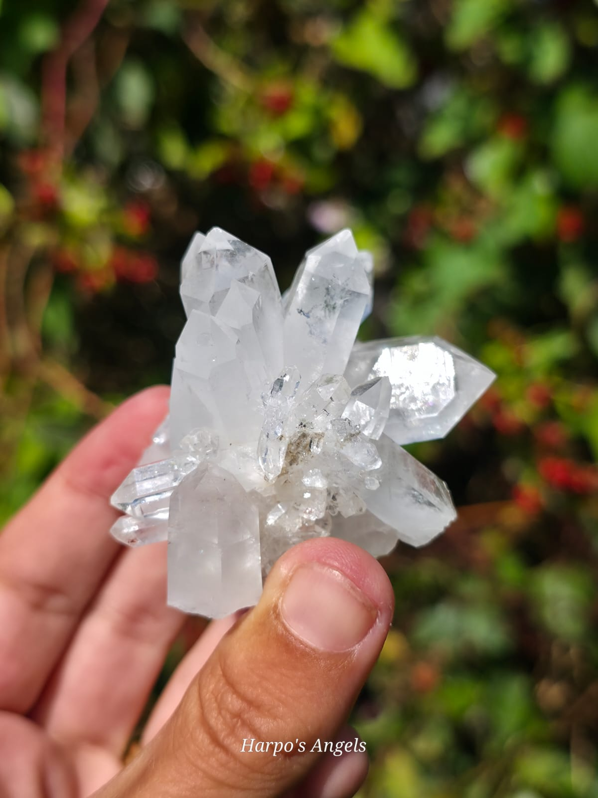 Faden Quartz Clusters - Balochistan