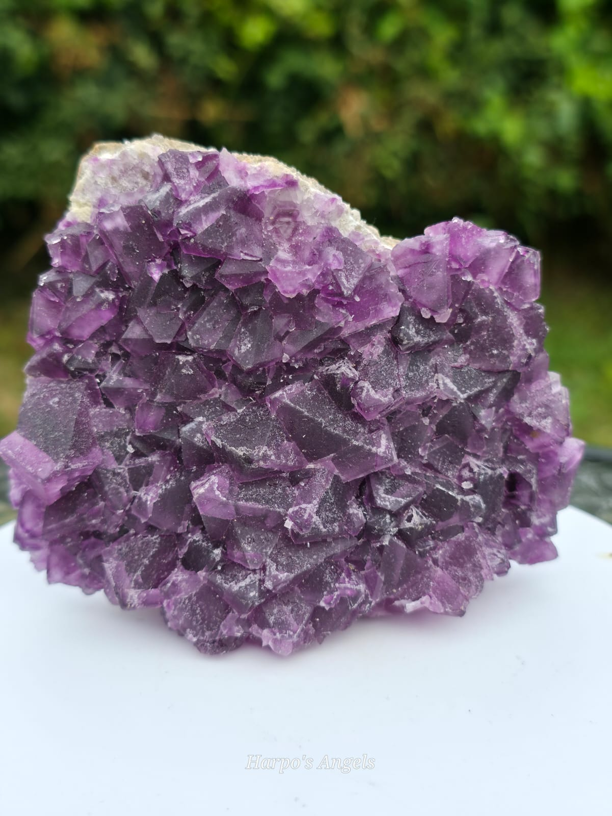 Purple Fluorite on Quartz Matrix